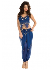 Blue Belly Dancing Costume - Womens Bollywood Costumes